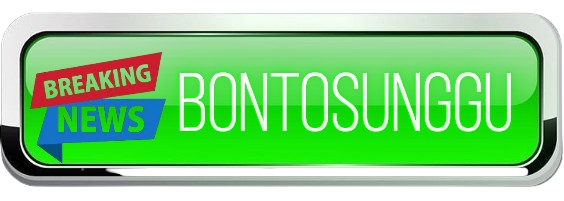 NEWS Bontosunggu